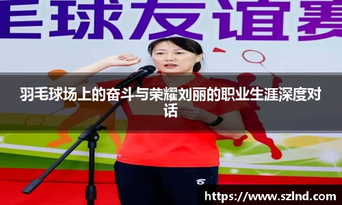 羽毛球场上的奋斗与荣耀刘丽的职业生涯深度对话