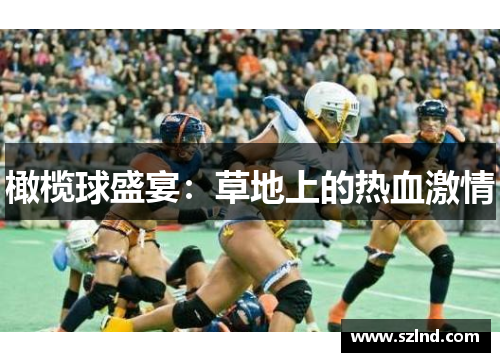 橄榄球盛宴：草地上的热血激情